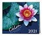 Calm. Календарь спокойствия и медитации. Календарь настенный на 2021 год (300х300 мм)