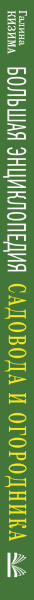 SOURCE_SPINE