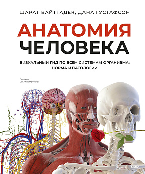 Анатомия человека. Визуальный гид по всем системам организма: норма и патологии Анатомия человека. Визуальный гид по всем системам организма: норма и патологии