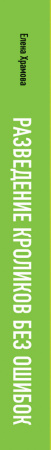 SOURCE_SPINE SOURCE_SPINE