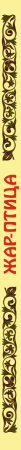 SOURCE_SPINE SOURCE_SPINE