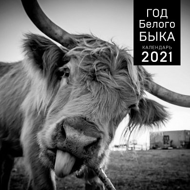 Год белого быка. Календарь настенный на 2021 год (300x300 мм)