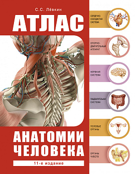 Атлас анатомии человека Атлас анатомии человека