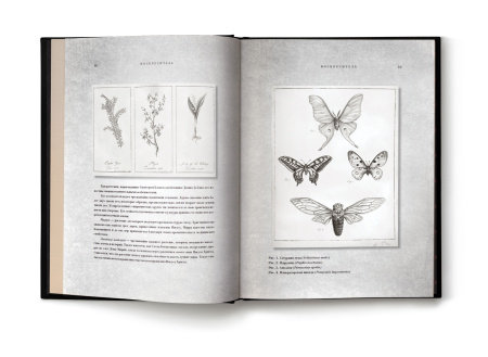 Воскреситель, или Анатомия фантастических существ: Утерянный труд доктора Спенсера Блэка