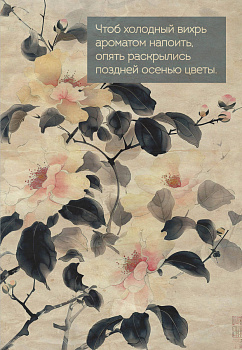 Цветы Японии. Ежедневник недатированный (А5, 72 л.) Цветы Японии. Ежедневник недатированный (А5, 72 л.)