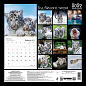 Год белого тигра. Календарь настенный на 2022 год (300х300 мм)