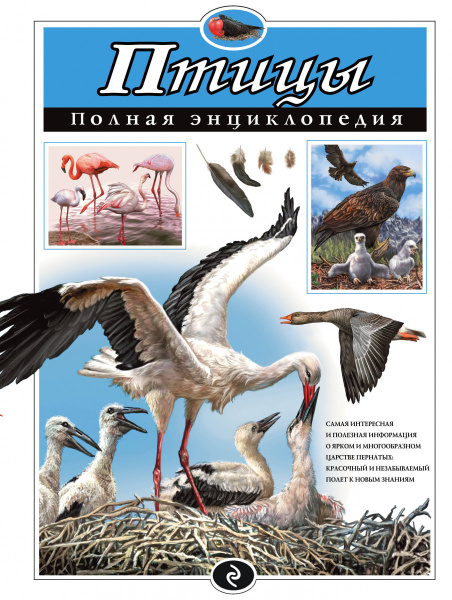 Птицы. Полная энциклопедия