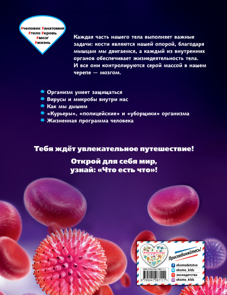 ЧЕЛОВЕК. Взгляд внутрь