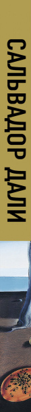 SOURCE_SPINE SOURCE_SPINE