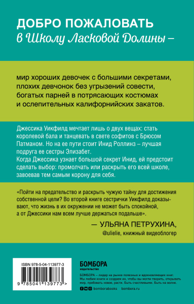 Школа в Ласковой Долине. Секреты (книга №2)