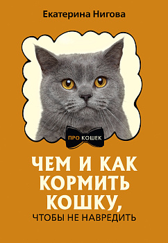 Чем и как кормить кошку, чтобы не навредить Чем и как кормить кошку, чтобы не навредить