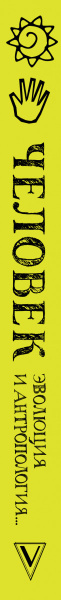 SOURCE_SPINE SOURCE_SPINE