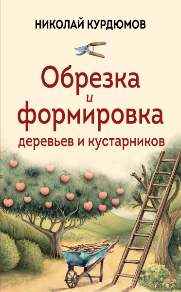 SOURCE_PICTURE