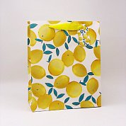 Пакет подарочный "Lemons" (26*32*12.5)