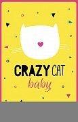 Crazy cat baby (А5)