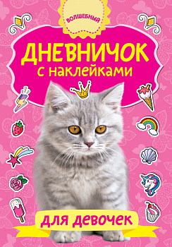 Дневничок с наклейками для девочки