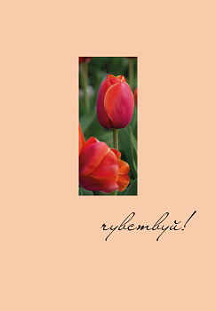 Чувствуй! Ежедневник недатированный (А5, 72 л.) Чувствуй! Ежедневник недатированный (А5, 72 л.)