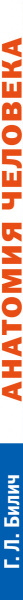 SOURCE_SPINE SOURCE_SPINE