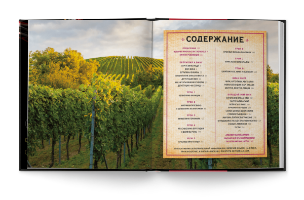 Мировой путеводитель по вину. Windows on the world