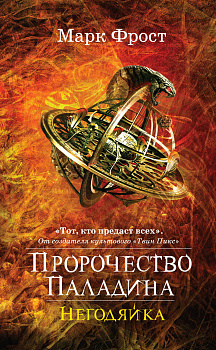 Пророчество Паладина. Негодяйка