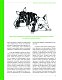Главная книга владельца собаки Главная книга владельца собаки