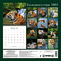 Год водяного тигра. Календарь настенный на 2022 год (300х300 мм)
