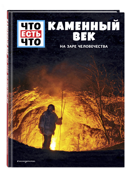 КАМЕННЫЙ ВЕК. На заре человечества