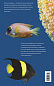 Морской аквариум (Подарочные издания. Живой мир нашей планеты)