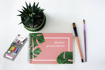 Ботаника. Набор для рисования