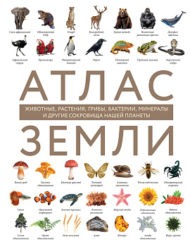 Атлас Земли. Животные, растения, грибы, бактерии, минералы и другие сокровища нашей планеты