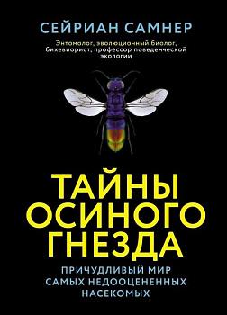 Тайны осиного гнезда: причудливый мир самых недооцененных насекомых