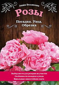 Розы. Посадка. Уход. Обрезка