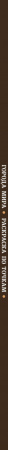 SOURCE_SPINE SOURCE_SPINE