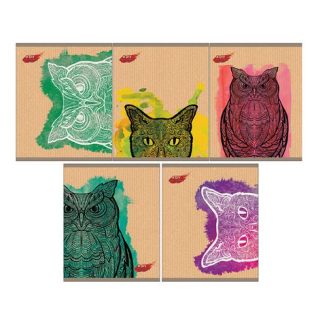 DIY Collection. Коты и совы ТЕТРАДИ А5 (*скрепка) 48Л. (интерактив)