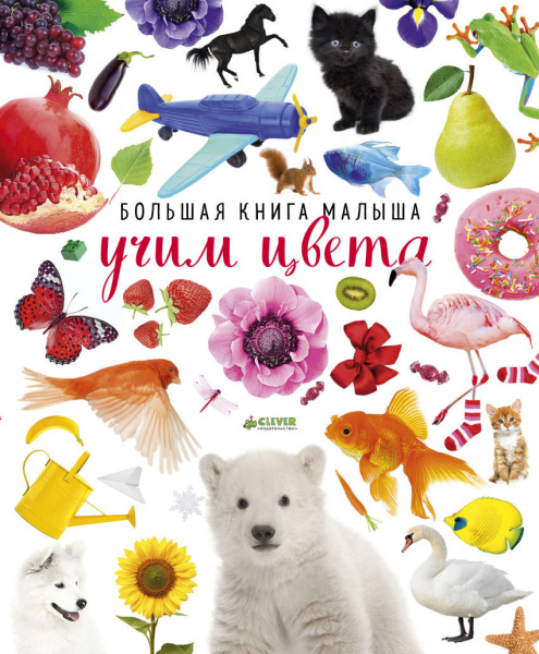 Большая книга малыша. Учим цвета 2743 ДСнК