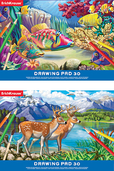 Альбом А4 30л Erich Krause, клеевое скрепление)