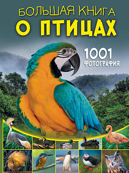 Большая книга о птицах. 1001 фотография Большая книга о птицах. 1001 фотография
