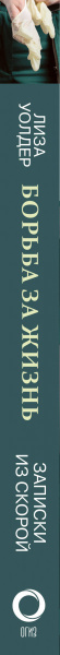 SOURCE_SPINE