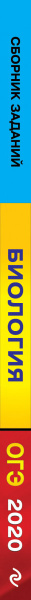 SOURCE_SPINE