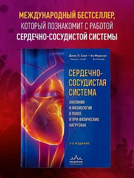 Сердечно-сосудистая система. Анатомия и физиология в покое и при физических нагрузках