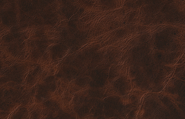 SOURCE_COVER4 SOURCE_COVER4