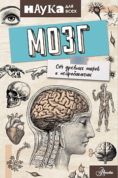 Мозг. От древних мифов к нейробиологии Мозг. От древних мифов к нейробиологии