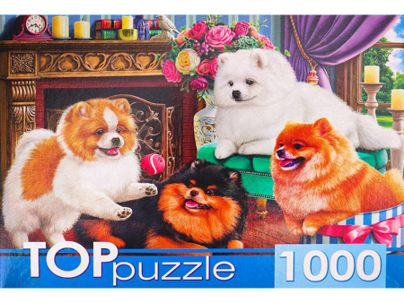 TOPpuzzle. ПАЗЛЫ 1000 элементов. ХТП1000-4145 Игривые шпицы