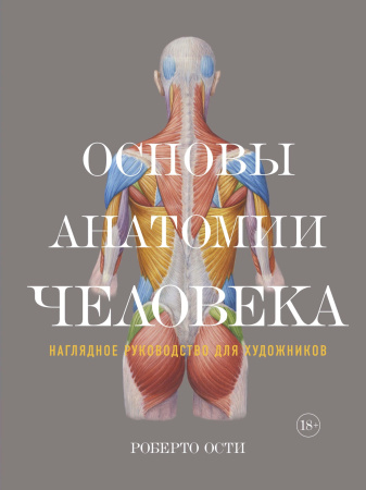 Основы анатомии человека: Наглядное руководство для художников