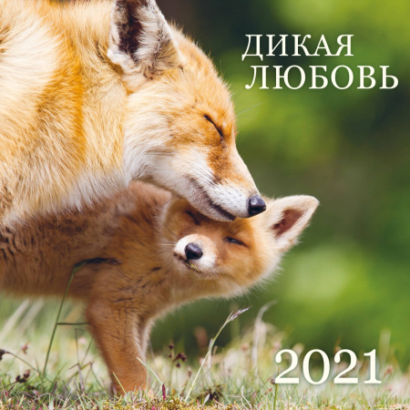 Дикая любовь. Календарь настенный на 2021 год (300х300 мм)