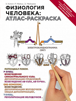 Физиология человека: атлас-раскраска