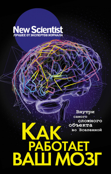 Как работает ваш мозг