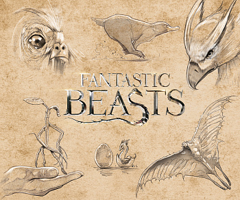 Скетчбук. Фантастические твари (твердый переплет, 96 стр., 240х200 мм) Скетчбук. Фантастические твари (твердый переплет, 96 стр., 240х200 мм)