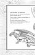 Драконья сага. Пророчество о драконятах. Потерянная принцесса