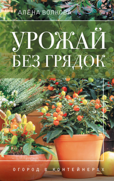 SOURCE_PICTURE